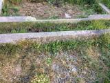 image of grave number 676717